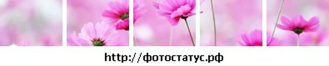 Ірина Ілючок фотография #23 (источник - https://vk.com/id137263679)