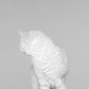 Фотография Араповой Ксении