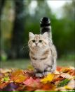 Фотография Губиной Анастасии