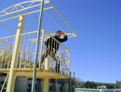 Фотография Бурмистрова Романа