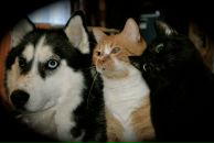 Фотография Маркиной Нины