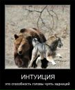 Діна Никифорова фотография #34 (источник - https://vk.com/id69910692)