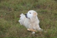 Иван Любченко фотография #46 (источник - https://vk.com/id682883)