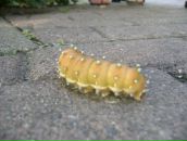 Фотография Танасовой Оксаны