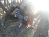 Фотография Sun Kinder