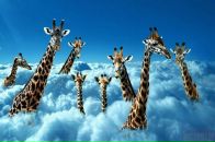 Фотография Бабича Игоря