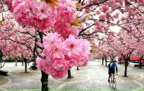 Катя Ліпунова фотография #31 (источник - https://vk.com/id6337424)