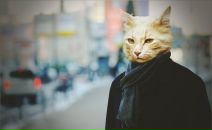 Фотография Краснова Алексея