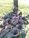 Александр Павлушко фотография #21 (источник - https://vk.com/id59940850)