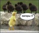 Сергій Трохимчук фотография #32 (источник - https://vk.com/id91113236)