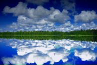 Андрей Разбаш фотография #17 (источник - https://vk.com/id4143399)