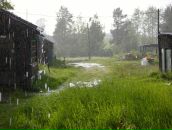 Фотография Пантелеевой Ларисы