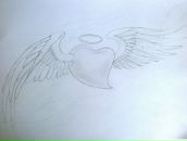 Фотография Романенко Володи