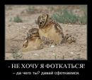 Нелли Чернякова фотография #43 (источник - https://vk.com/id155569724)