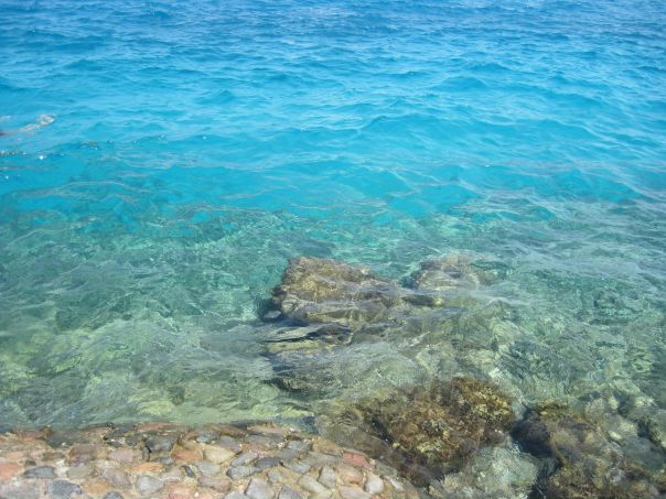 Антон Орлов фото №21