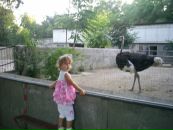 Наталія Моргоч фотография #1