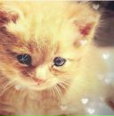 Вікторія Кульбаба фотография #24 (источник - https://vk.com/id11346767)