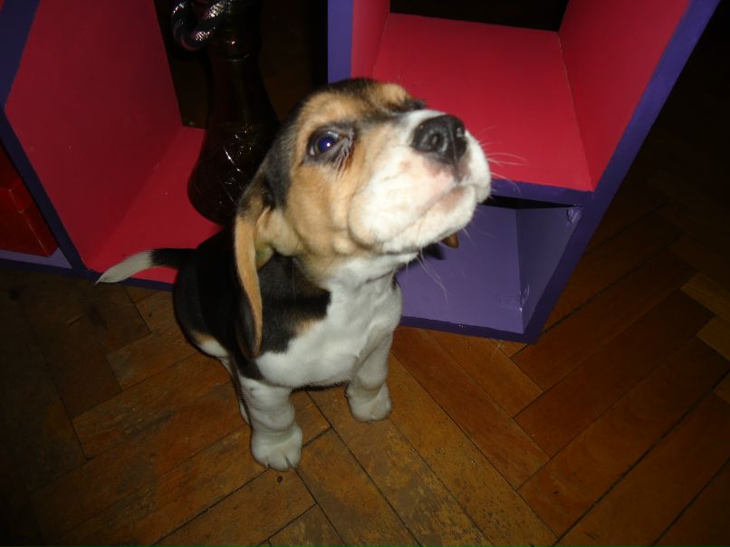 Никол@й Dmitriev фотография #9