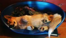 Фотография Быков Андрей