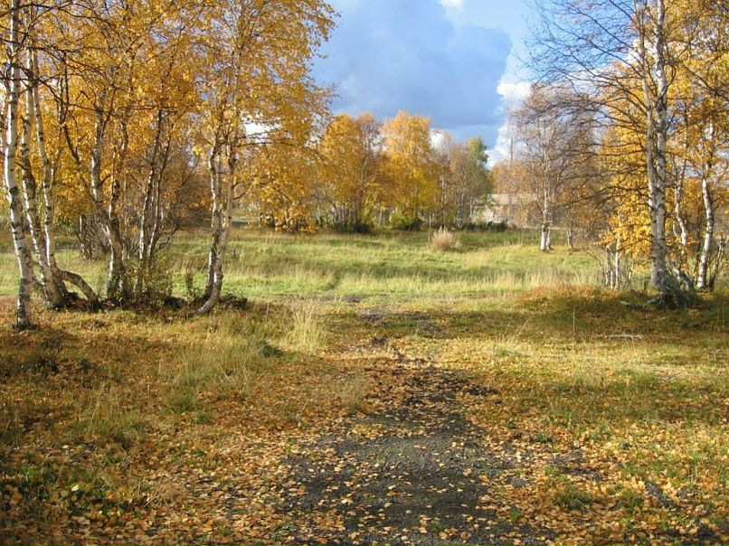 Николай Самков фото №3