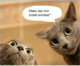 Фотография Габурича Эммануила