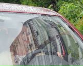 Фотография Беляевой Оксаны