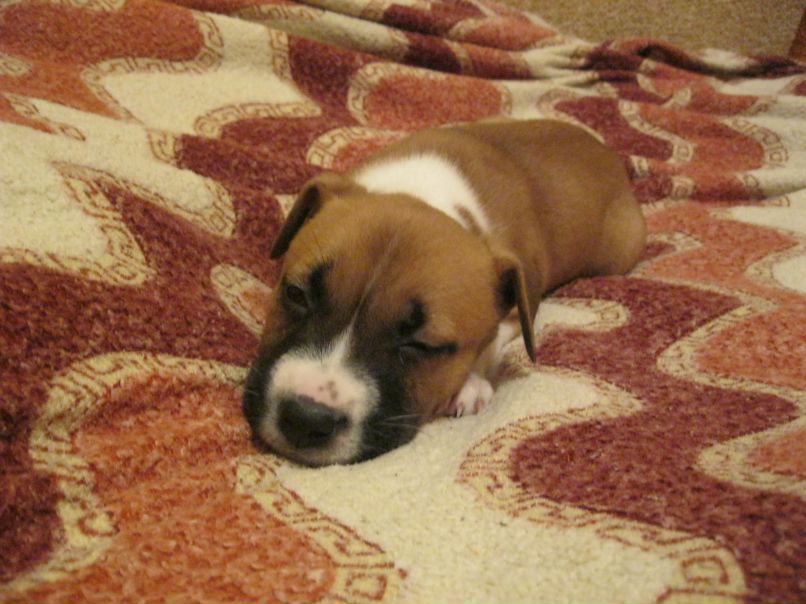 Serega Grof фотография #22