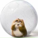 Фотография Невского Сергея