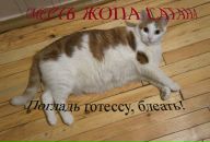 Фотография Шорохова Валентина