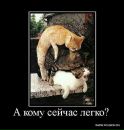 Дима Tryasunoff фотография #38 (источник - https://vk.com/id2384341)