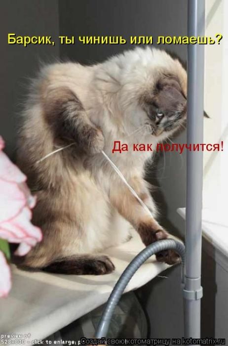 Дмитрий Леонтенко фотография #49