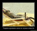 Фотография Савченко Александра