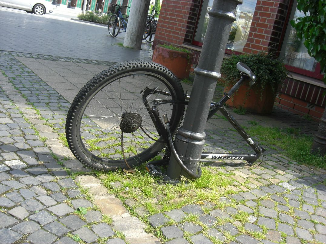 Дмитрий Иванов фотография #50