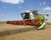 Віталік Леньга фотография #43 (источник - https://vk.com/id33941401)