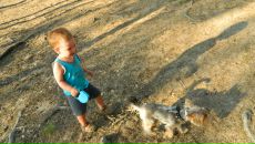 Фотография Polyanskikh Arina