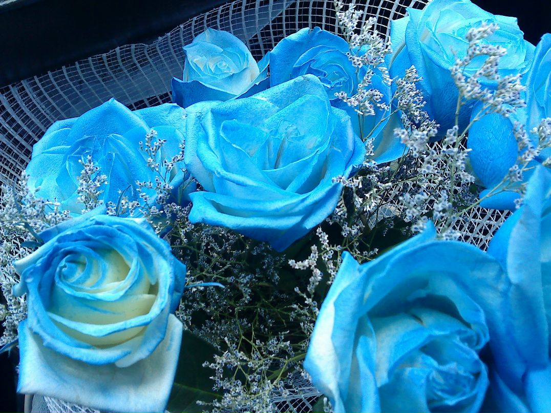 Иван Смирнов фотография #10