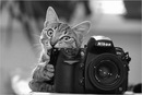 Фотография Громовой Анны
