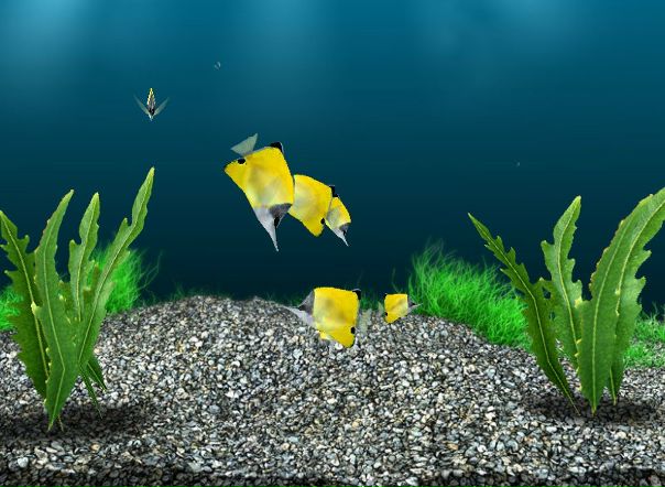 Рустам Кушаев фото №3