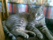 Фотография Сидоренко Елены