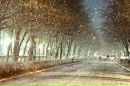 Іра Меєрзон фотография #30 (источник - https://vk.com/id158342127)