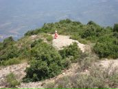 Фотография Melnikova Anna