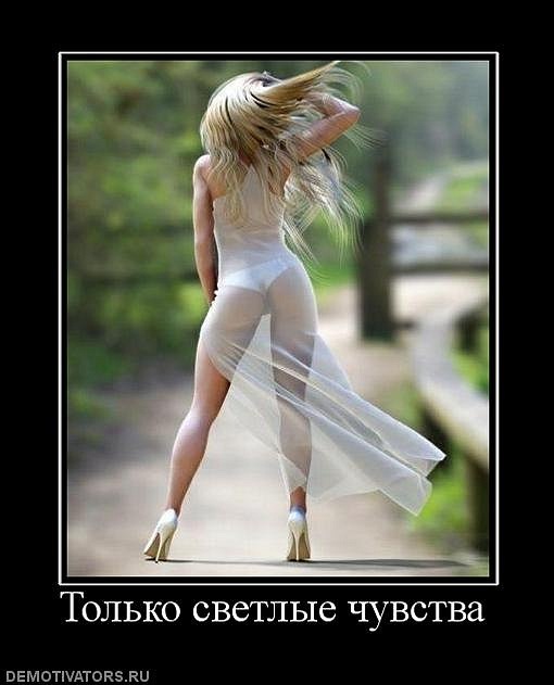 Денис Старос фотография #36
