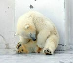 Фотография Ануфриевой Елены