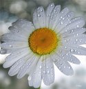 Аня Марків фотография #20 (источник - https://vk.com/id165500507)