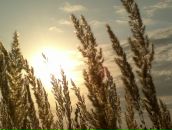 Фотография Трунова Ростислава