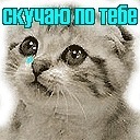 Іван Палига фотография #6 (источник - https://vk.com/id95273765)