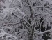 Ігор Галонжка фотография #25 (источник - https://vk.com/id155539798)