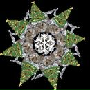 Фотография Скайвокера Anikin