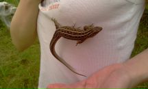 Фотография Маруфовой Инессы