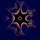 Фотография Лекс Нибел